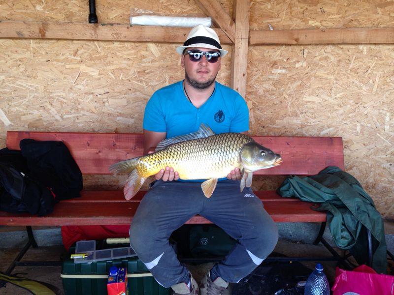 Teiu - img-20130916-wa0012.jpg